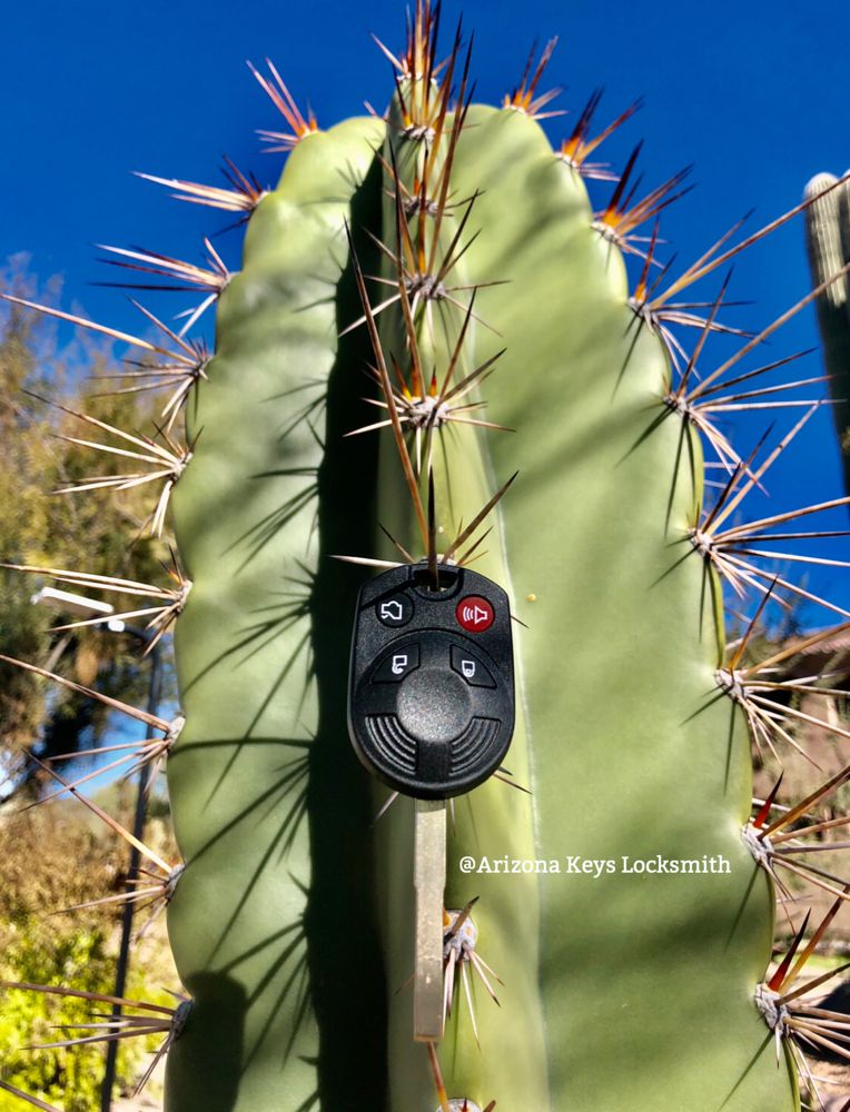 Arizon Keys Locksmith key fob on cactus